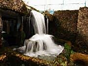 Doğa fotoğrafçılığı