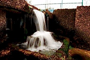 Doğa fotoğrafçılığı